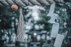 近所の神社をはしごしてきた