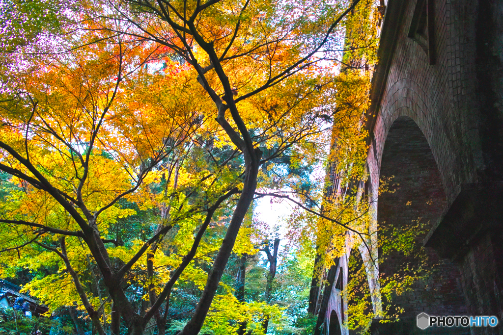 水路と紅葉