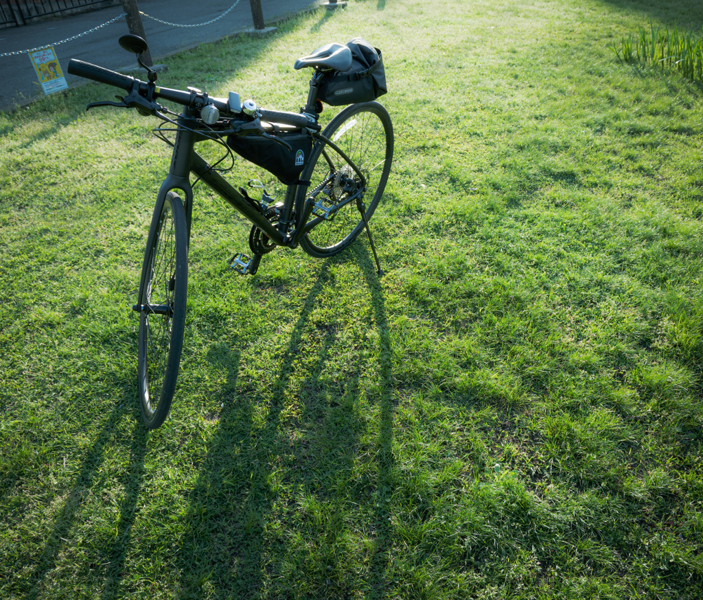 池の畔で池撮らない