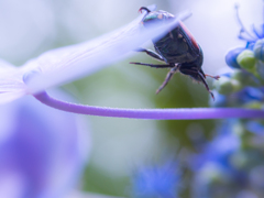 やっぱ帰ろ〜っとっとっと！！