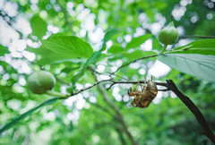 今の私は空っぽです