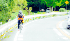 161のサイクリスト