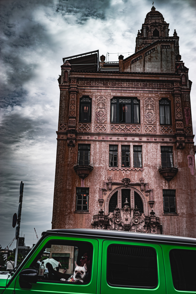 写真とはつまり偶然の産物である