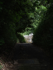 緑のトンネル抜ければ墓地