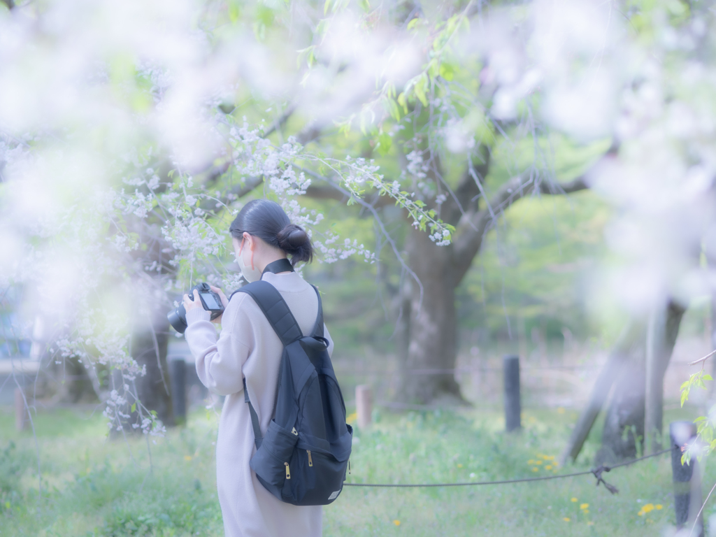 桜よりもカメラ女子