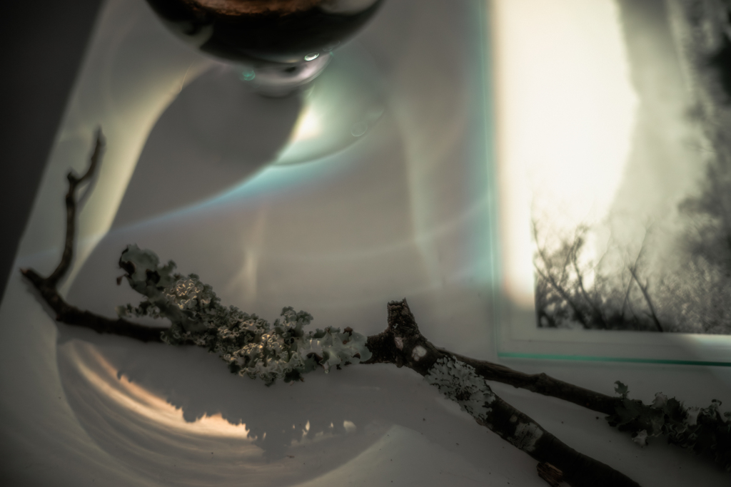 「そして、世界は泥である」