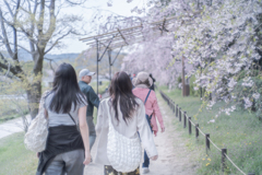 桜に負けない綺麗なお二人