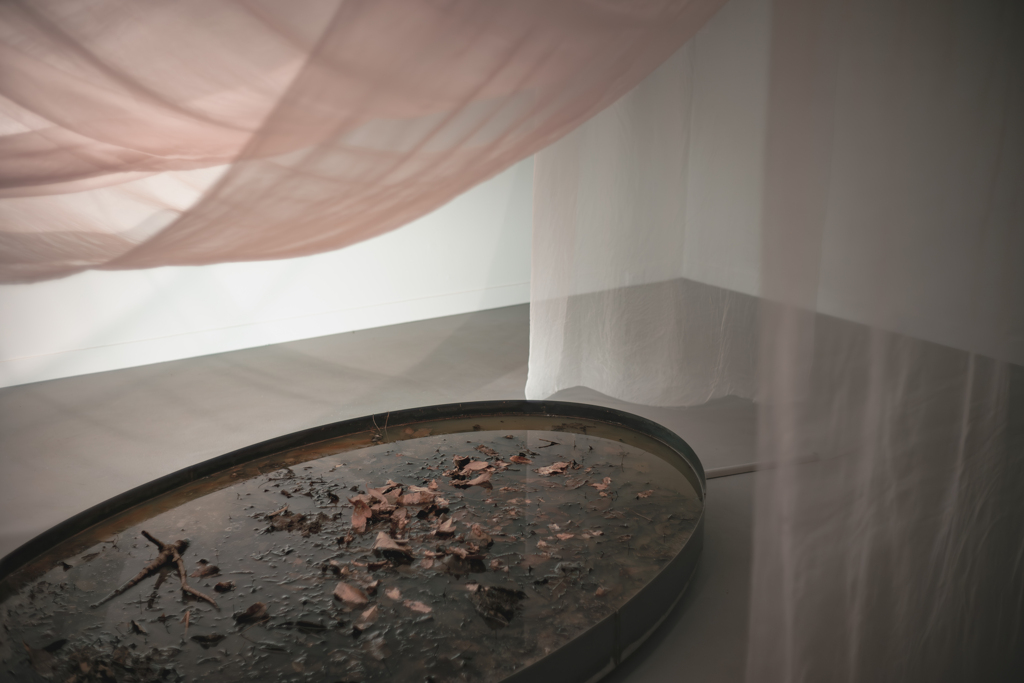 池のようなオブジェ