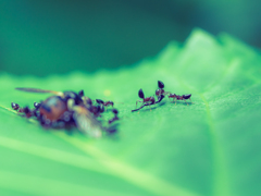 こりゃ３人がかりだな〜