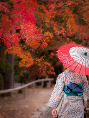 紅葉と誰かが雇ったモデル