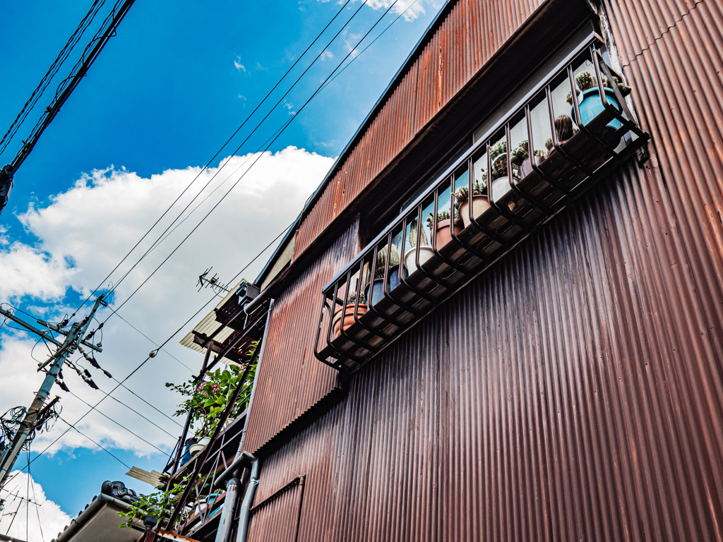 錆トタン　サボテン　青空