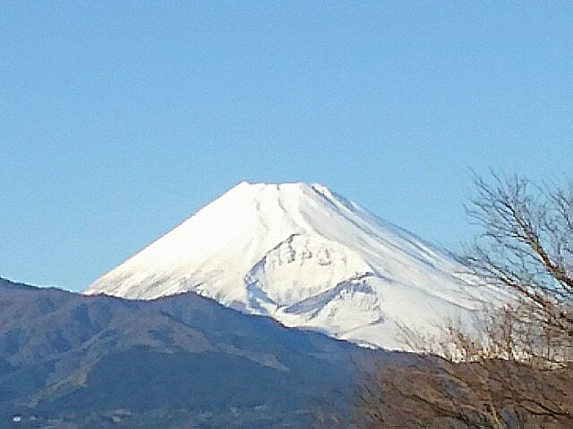 ★年賀状の富士山-01