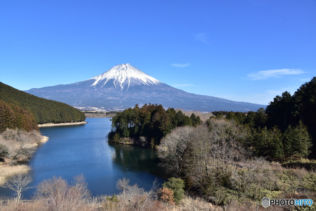 田貫湖の朝