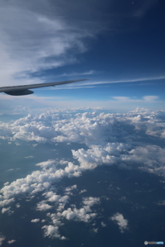 駿河湾上空