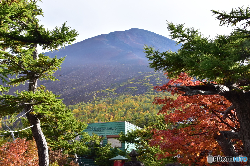 富士山五合目の紅葉