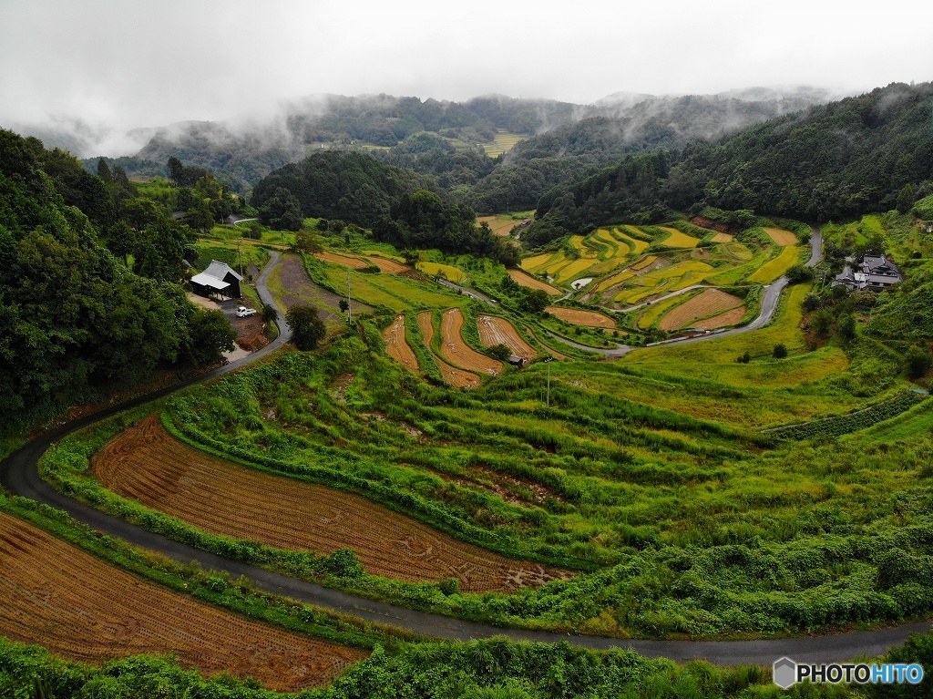 DJI_0384