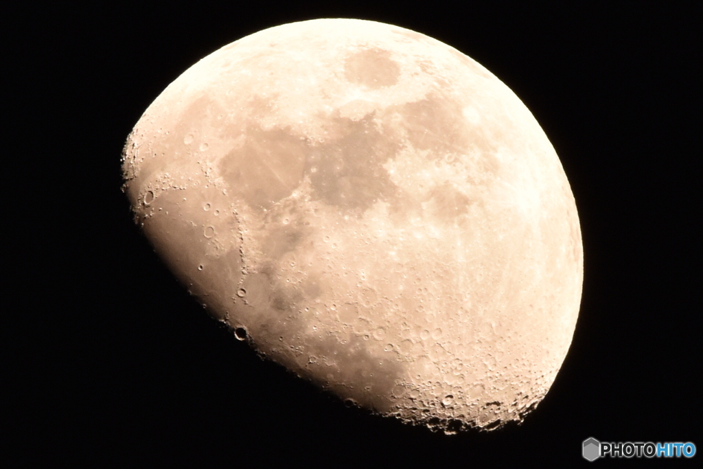 D72_1486