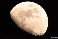 D72_1486