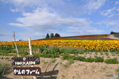 美瑛　かんのファーム