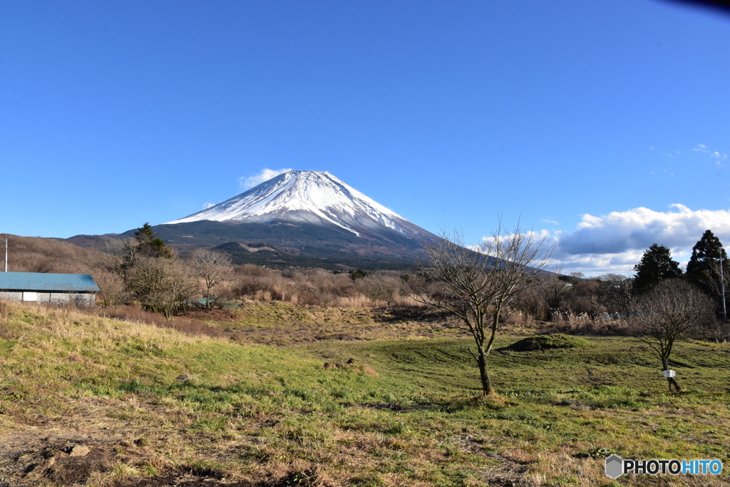 朝霧高原付近からの富士山