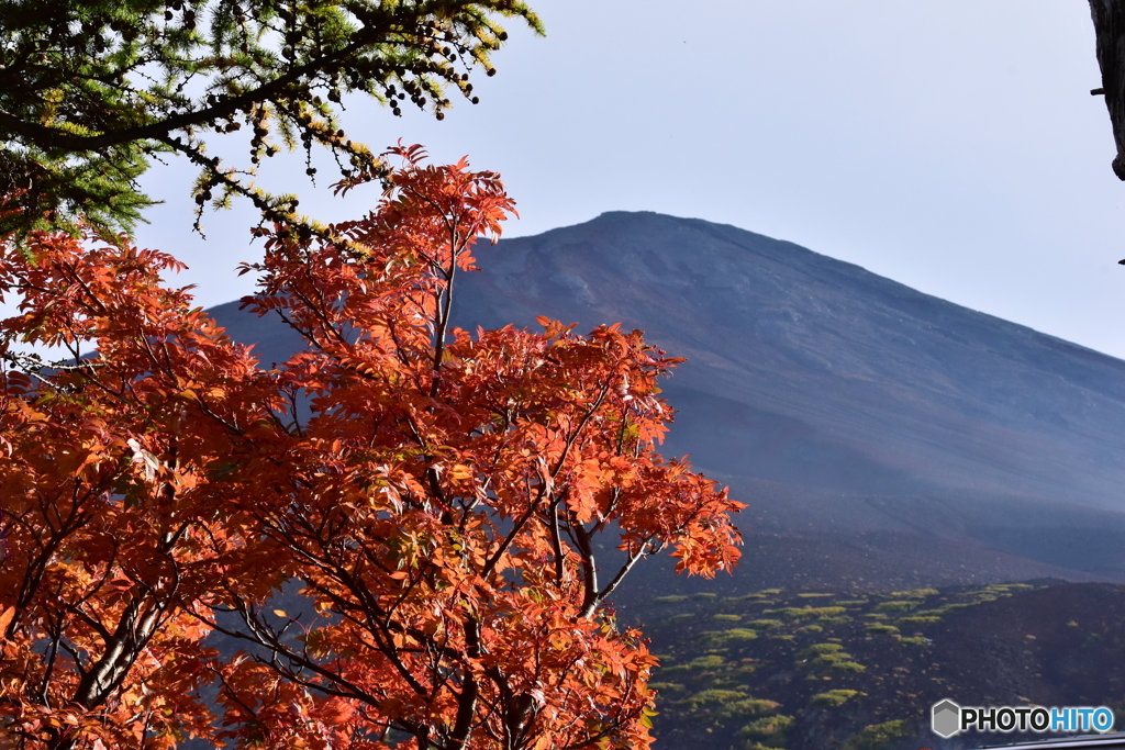 富士山五合目の紅葉2017年10月8日