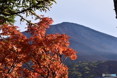 富士山五合目の紅葉2017年10月8日