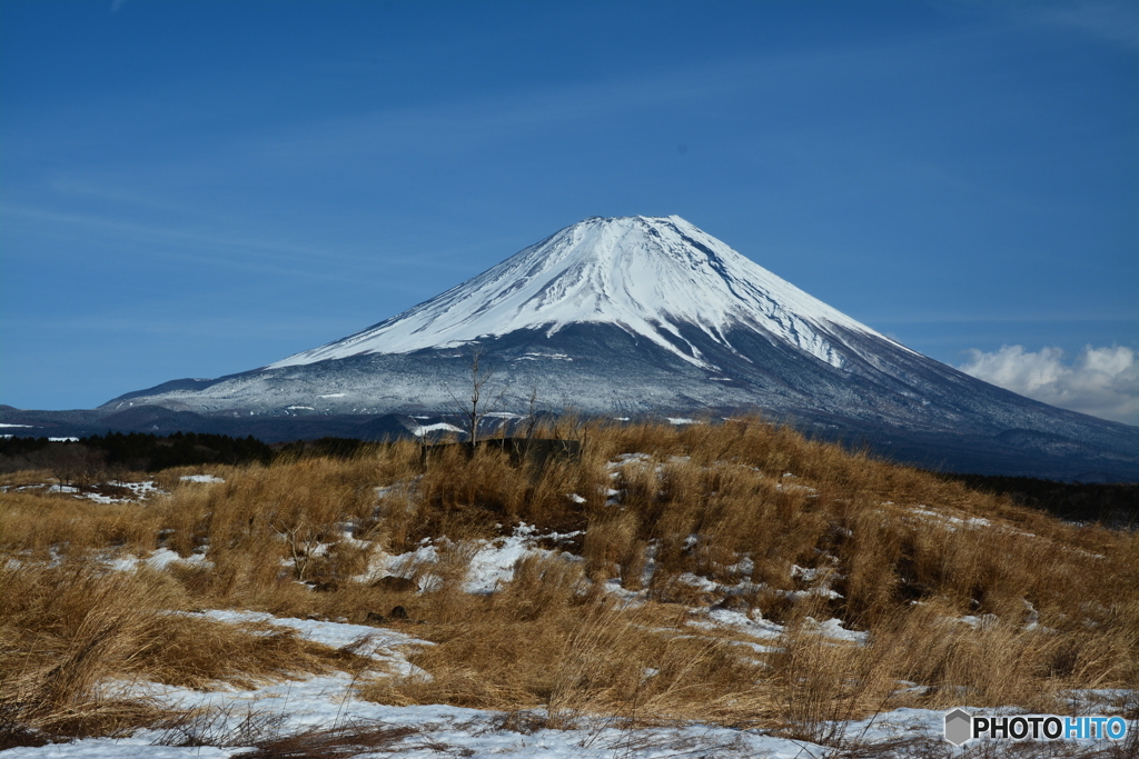 朝霧高原の富士山