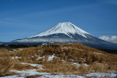 朝霧高原の富士山