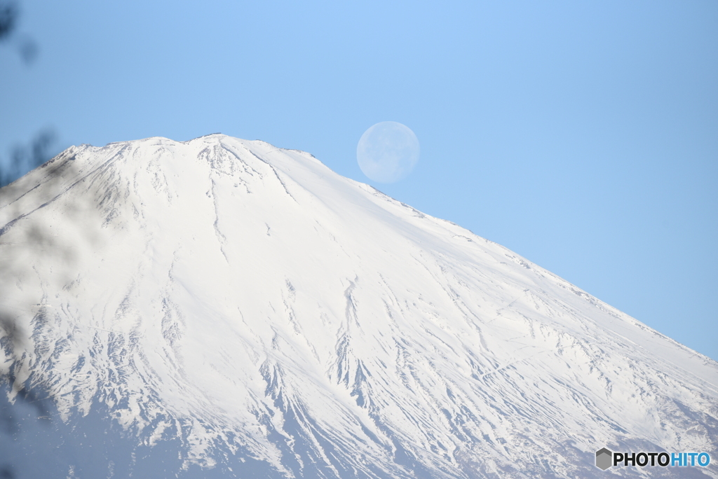 パール富士またしても外れました。