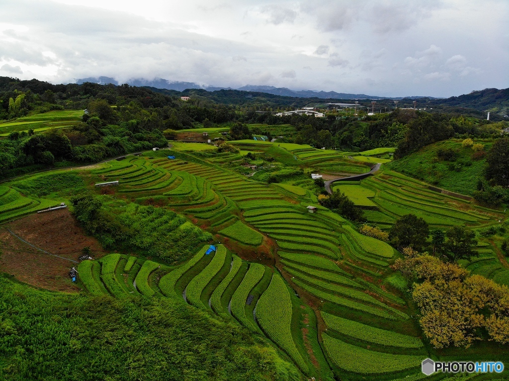 DJI_0358