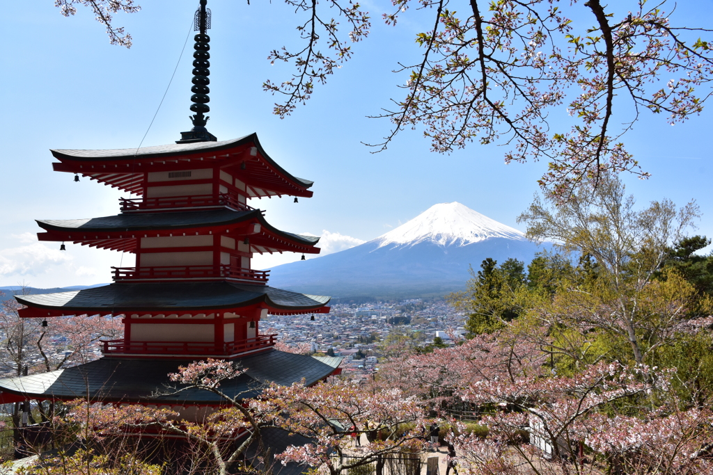忠霊塔と桜