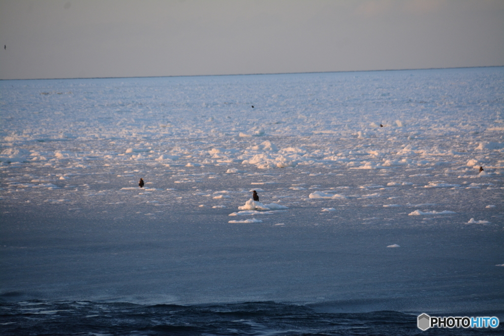 網走の流氷⑦