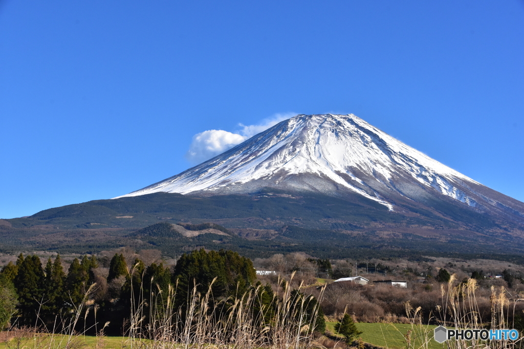 朝霧高原方向からの富士山