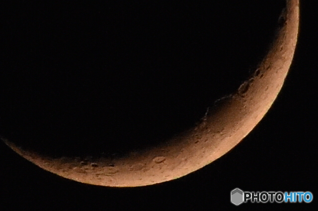 D72_1082