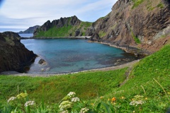礼文島の海