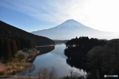 田貫湖の朝焼け