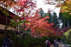 高野山大伽藍の紅葉