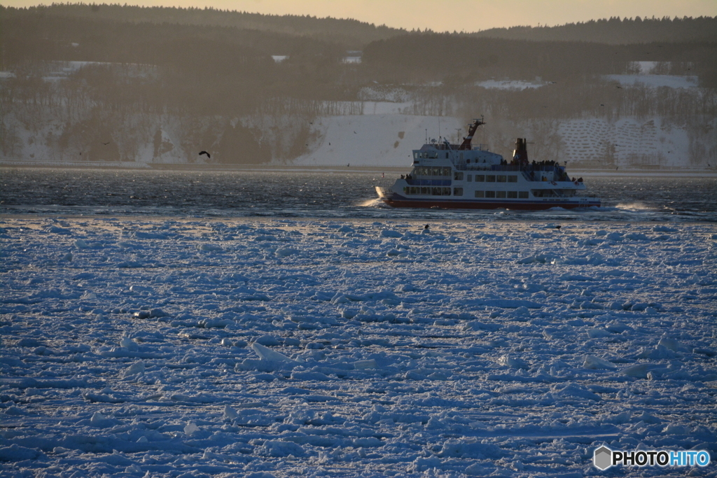 網走の流氷④