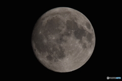 D72_1285