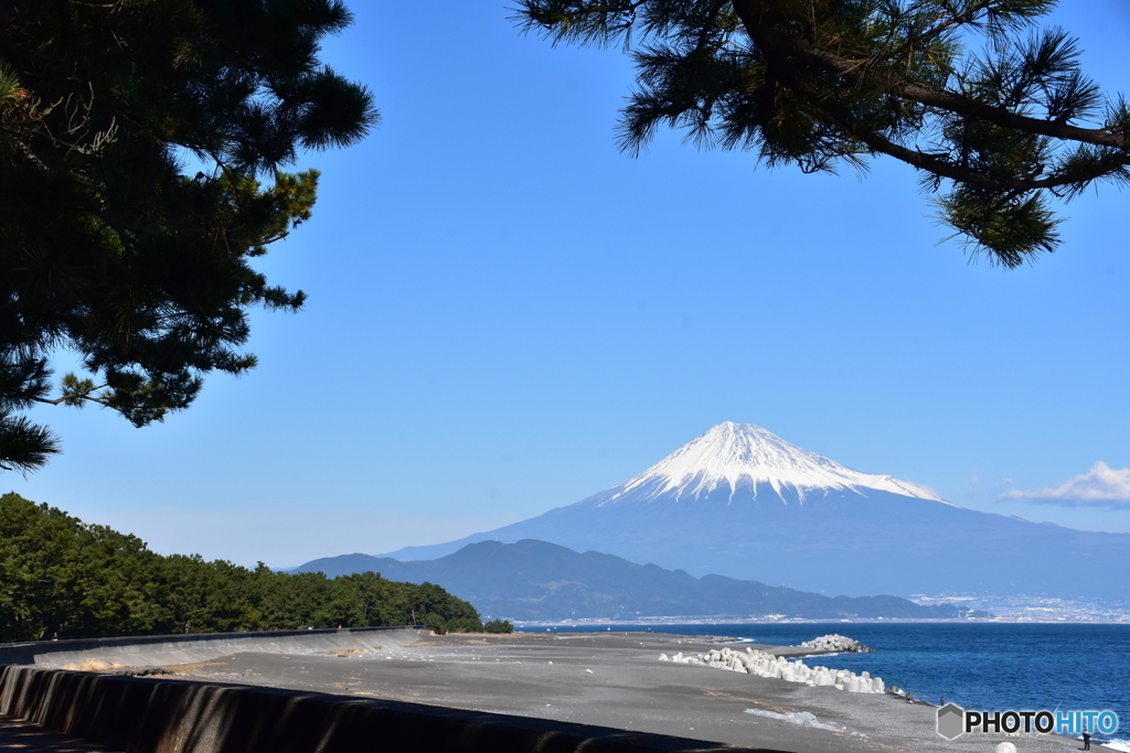 三保の松原の景色