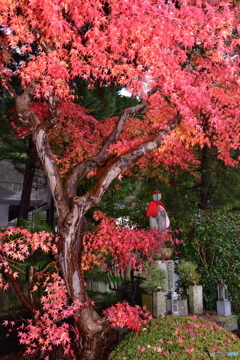 和歌山県高野山の紅葉⑤