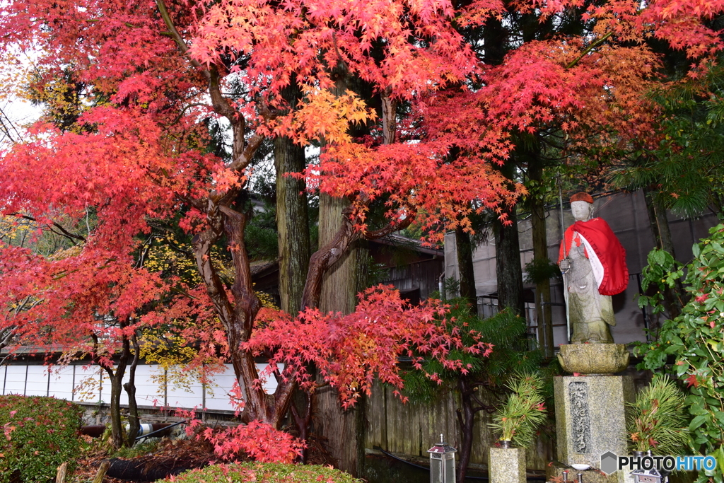 和歌山県高野山の紅葉④