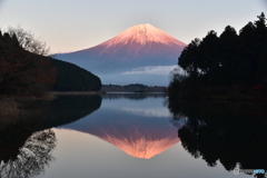 田貫湖の紅富士