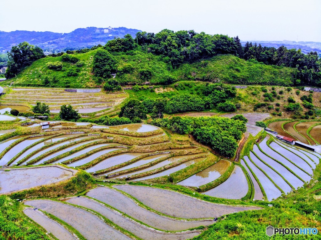 DJI_0416-EFFECTS千早赤阪村の棚田