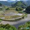 和歌山県あらぎ島展望台