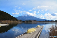 魚釣り（田貫湖）
