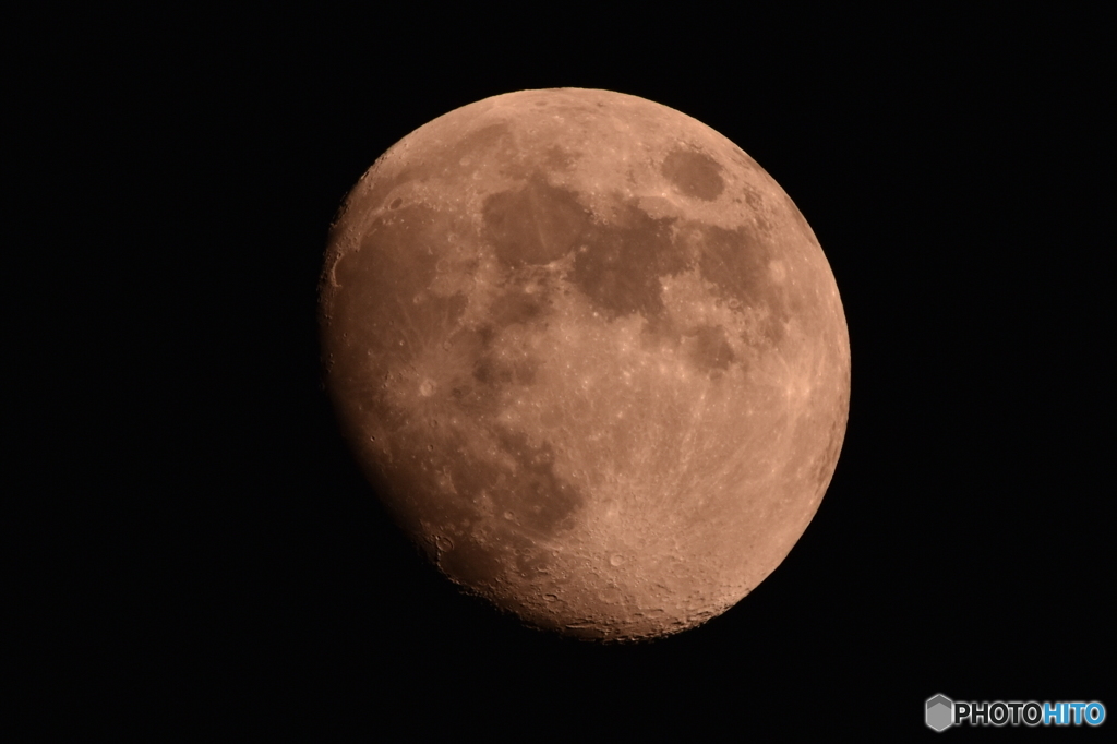 D72_1515