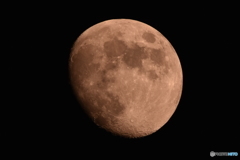 D72_1515