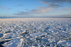 網走の流氷⑤