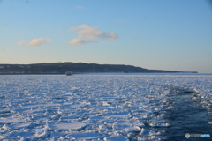 網走の流氷
